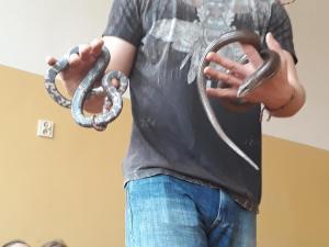 Żywa lekcja przyrody- węże